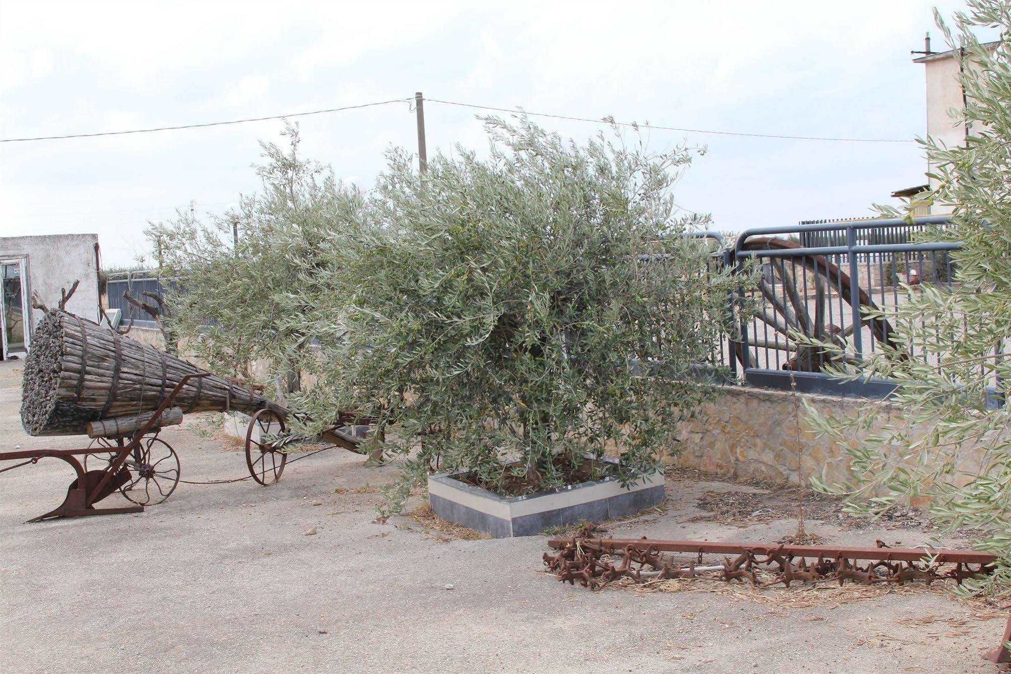 Agriturismo Silos Agri ซานเซเวโร ภายนอก รูปภาพ