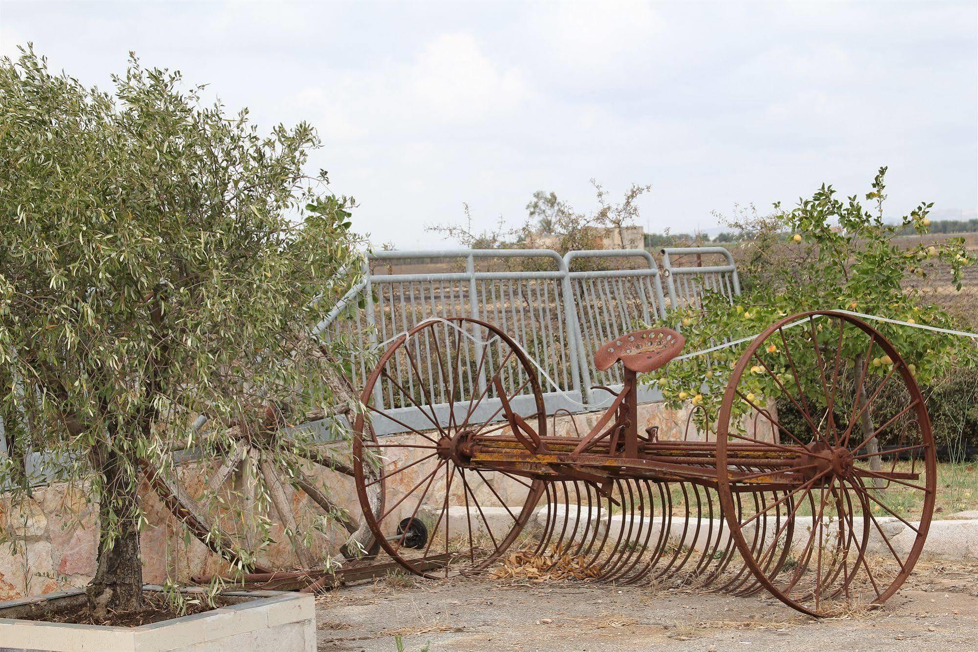 Agriturismo Silos Agri ซานเซเวโร ภายนอก รูปภาพ